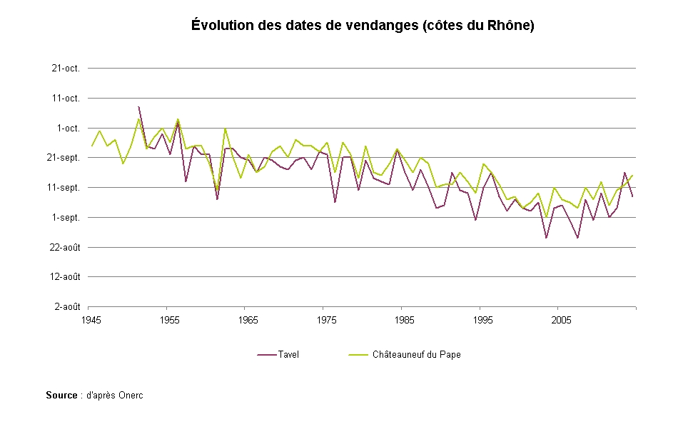 Graphe : évolution des dates de vendanges (côtes du Rhône)