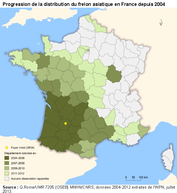 Progression de la distribution du frelon asiatique en France depuis 2004