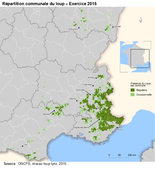 Pour une cohabitation durable avec le loup en France - UICN France