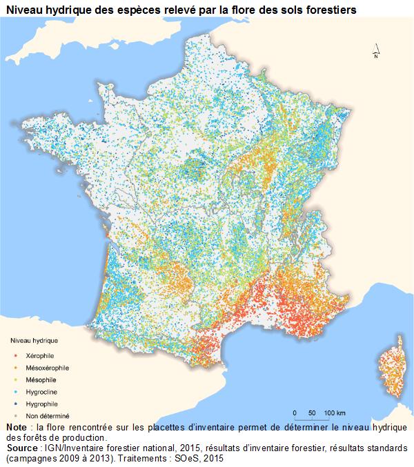Carte : niveau hydrique des espèces relevé par la flore des sols forestiers